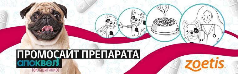 Промосайт лекарственного препарата против зуда у собак АПОКВЕЛ